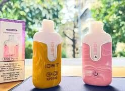 Alternative view of IGET Halo Pods