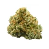 Northern light Strain