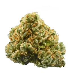 Northern light Strain