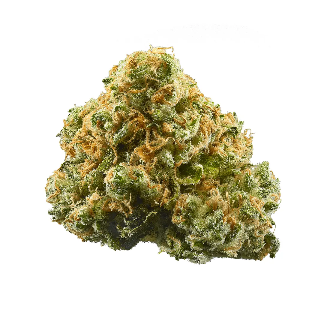 Northern light Strain